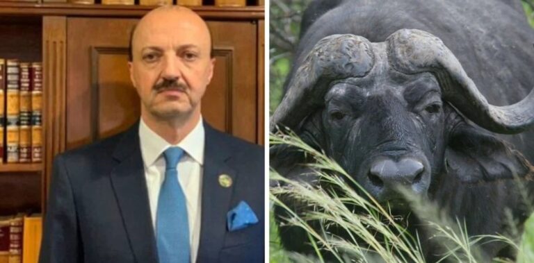Embestida mortal: el presidente de la Federación Mexicana de Caza murió en Entre Ríos intentando cazar a un búfalo