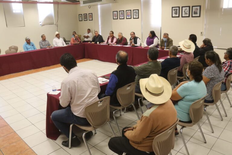 Tendrá campo victorense fuerte impulso en 2023