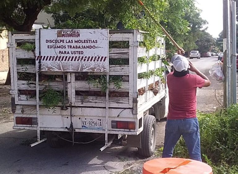 Transforma Gobierno de Gattás imagen urbana de Victoria