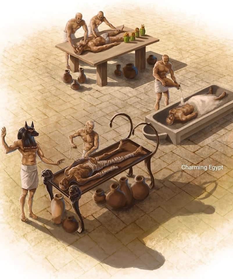 342179442_220228213951100_6714835839849731346_n